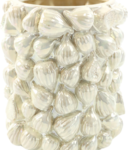 3567 OBJET VASE FICUS